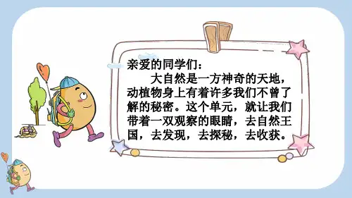 三年级语文下册教学课件《花钟》