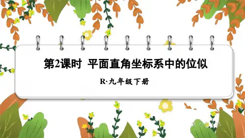 九年级数学下册教学课件《平面直角坐标系中的位似》