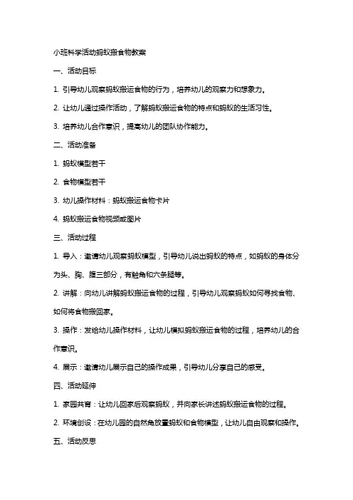 小班科学活动蚂蚁搬食物教案