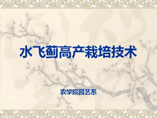 水飞蓟栽培技术