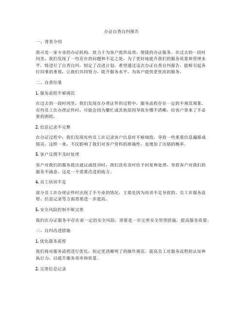 办证自查自纠报告
