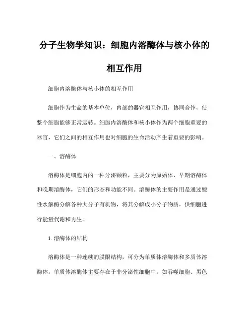 分子生物学知识：细胞内溶酶体与核小体的相互作用