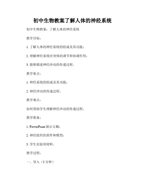 初中生物教案了解人体的神经系统