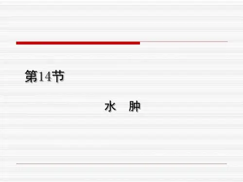 第14节 水肿 PPT课件