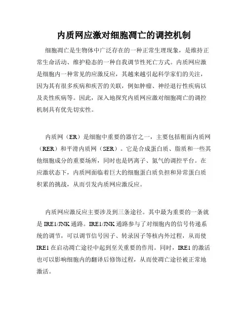 内质网应激对细胞凋亡的调控机制