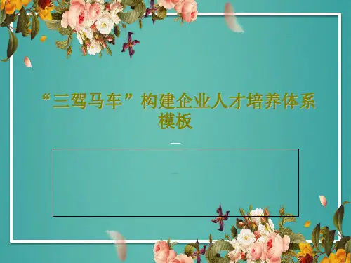 “三驾马车”构建企业人才培养体系模板共70页文档