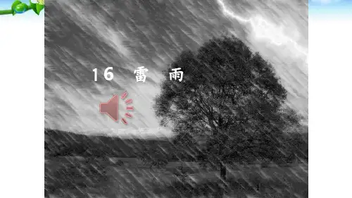 16雷雨PPT课件