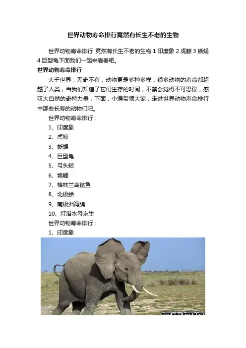 世界动物寿命排行竟然有长生不老的生物