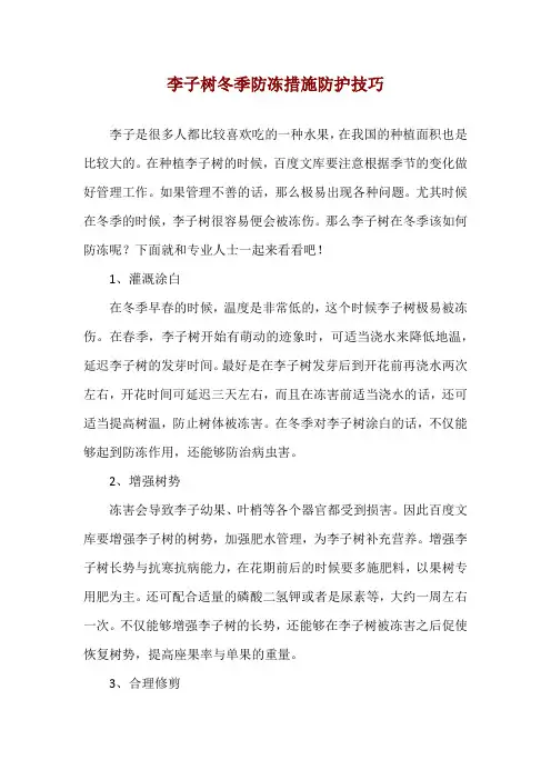 李子树冬季防冻措施防护技巧