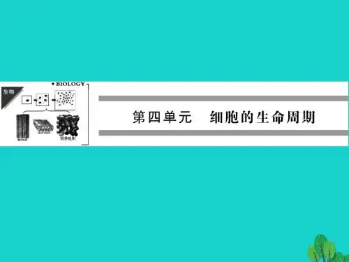 高中生物第四单元细胞的生命周期第一章细胞的增殖与分化4.1.1细胞的增殖课件中图版必修1