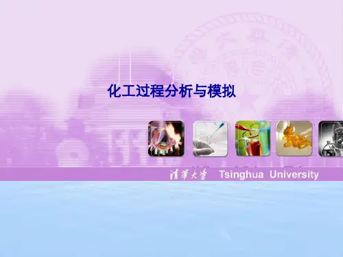 化工过程分析与模拟精选优质 PPT