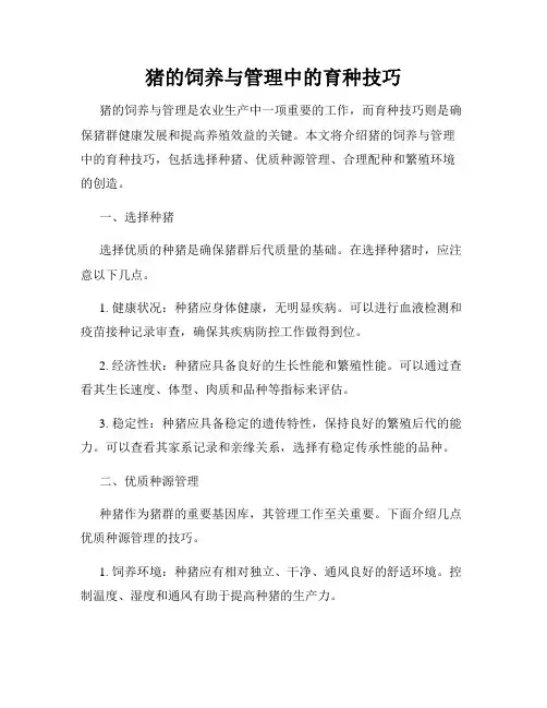 猪的饲养与管理中的育种技巧