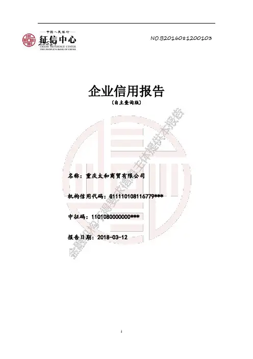 企业征信报告完整版