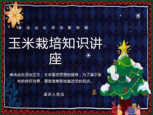 玉米栽培技术培训