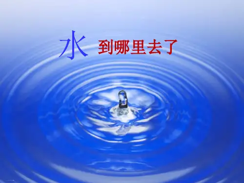 三年级上册科学课件- 水到哪里去了教科版 (共13张PPT)