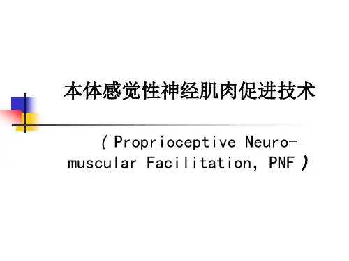本体感觉性神经肌肉促进技术讲解