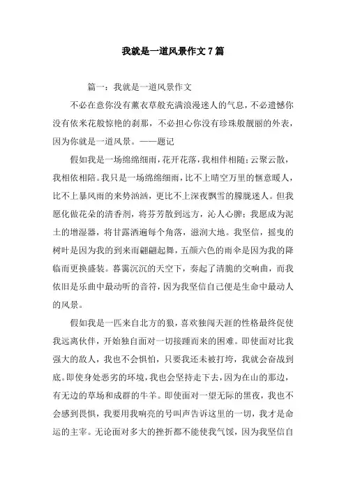 我就是一道风景作文7篇