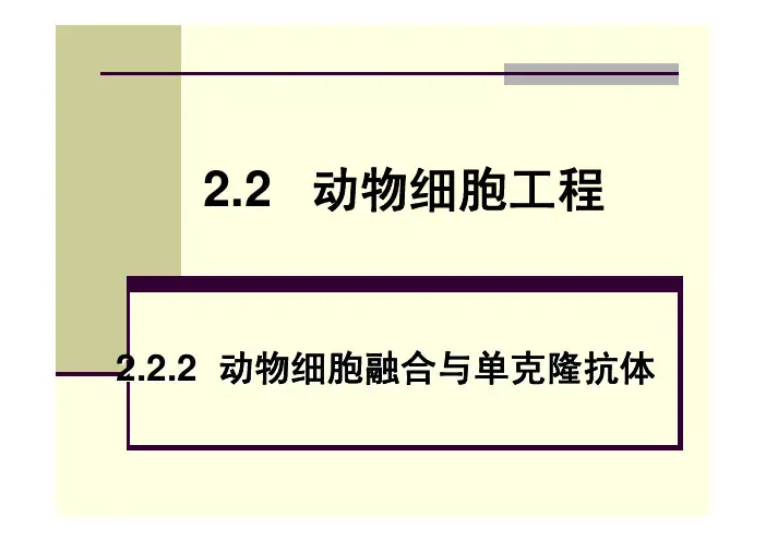 动物细胞融合与单克隆抗体、细胞培养原理和基本技术