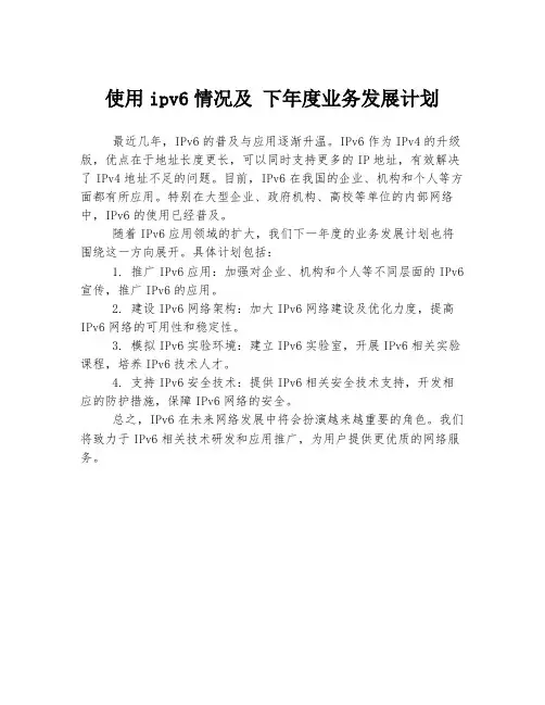 使用ipv6情况及 下年度业务发展计划