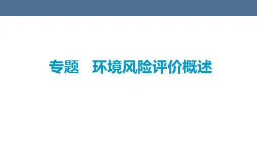 成信工环境影响评价课件专题9环境风险评价概述