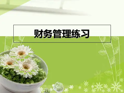 《财务管理练习》幻灯片PPT