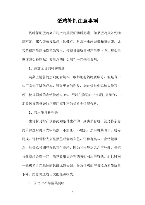 蛋鸡补钙注意事项