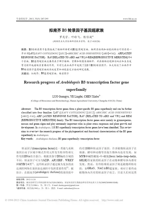拟南芥B3转录因子基因超家族_罗光宇