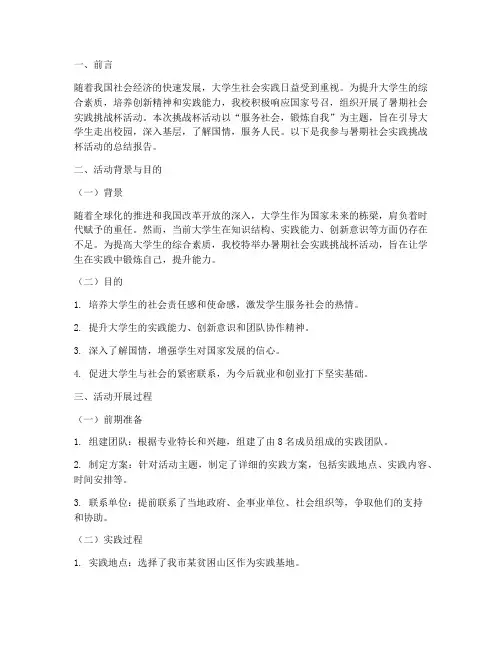 暑期社会实践挑战杯报告