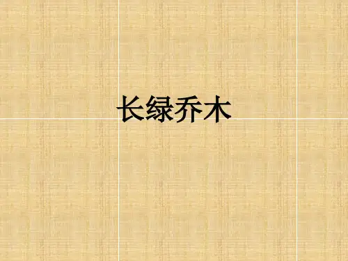 北方常见植物