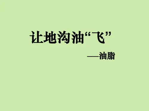 人教化学选修5第四章第一节 油脂  课件  (共23张PPT)