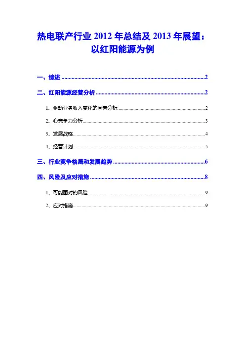 热电联产行业2012年总结及2013年展望：以红阳能源为例