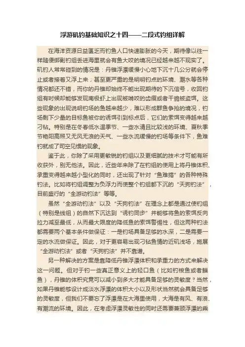 浮游矶钓基础知识之十四——二段式钓组详解