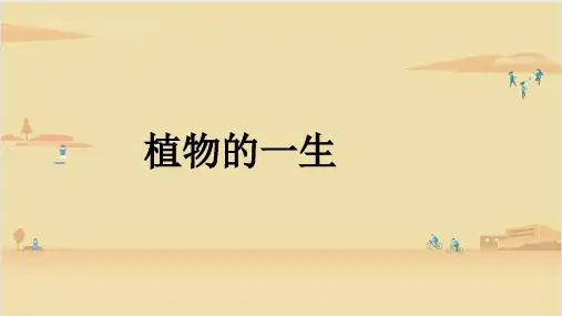 冀人版 科学四年级下册  植物的一生1 课件