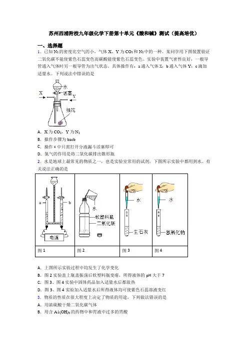苏州西浦附校九年级化学下册第十单元《酸和碱》测试(提高培优)