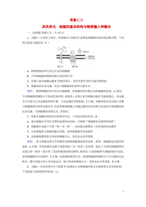 新教材2024年高考生物总复习考案2第二单元细胞的基本结构与物质输入和输出
