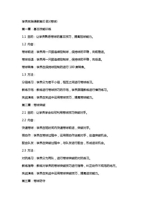 学员实践课教案(E级)(带球)