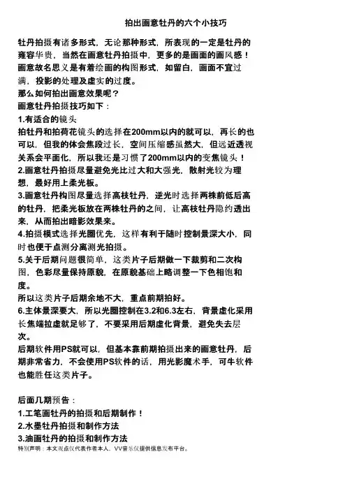 拍出画意牡丹的六个小技巧