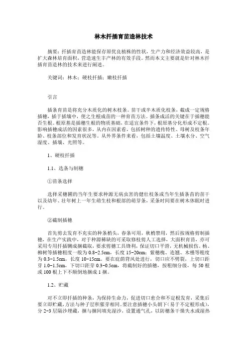 林木扦插育苗造林技术