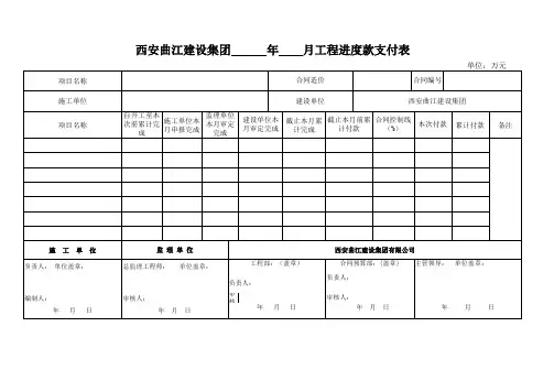 月进度款支付表格