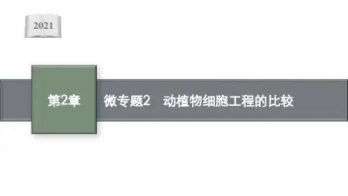 新教材高中生物第2章细胞工程微专题2动植物细胞工程的比较课件新人教版选择性必修3102213242