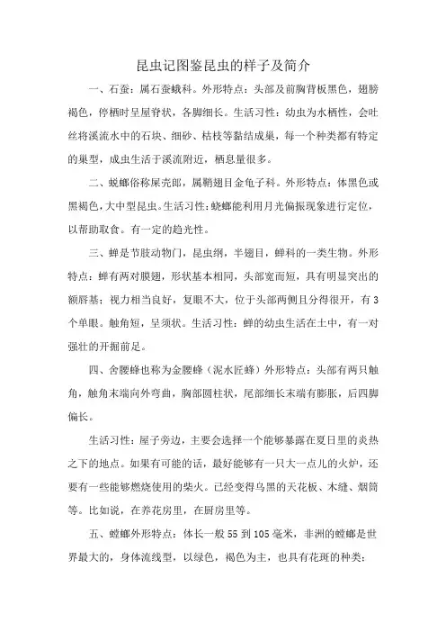 昆虫记图鉴昆虫的样子及简介