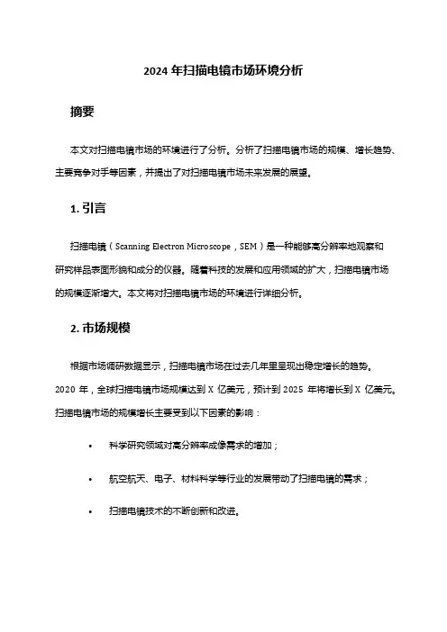 2024年扫描电镜市场环境分析