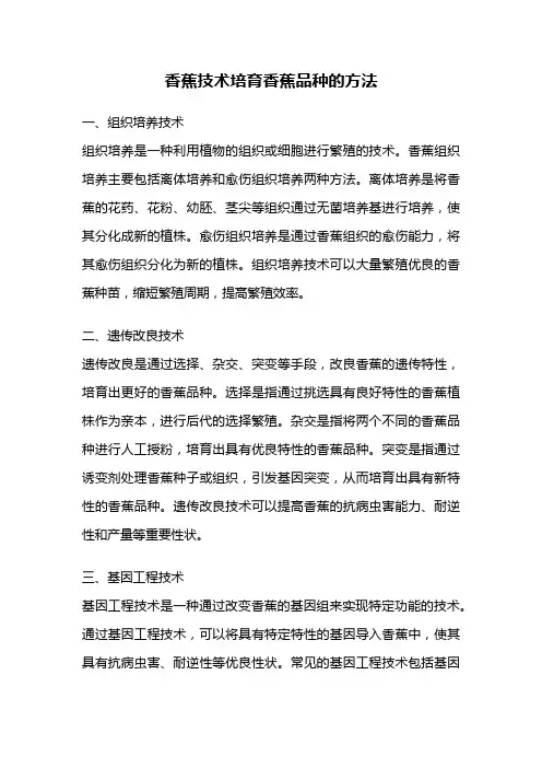 香蕉技术培育香蕉品种的方法
