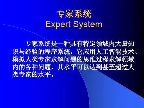 专家系统