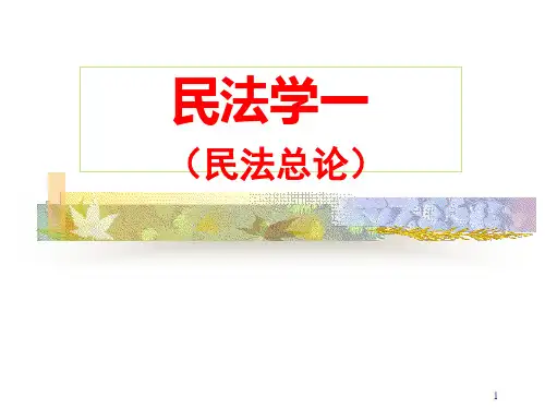 王利明—民法学总论课件ppt课件