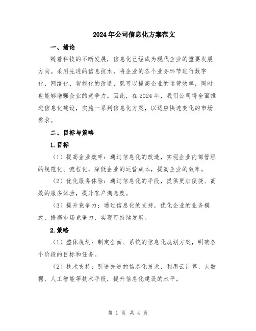 2024年公司信息化方案范文