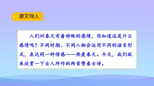 二年级下册语文课件-1.古诗二首 部编版(共28张PPT)