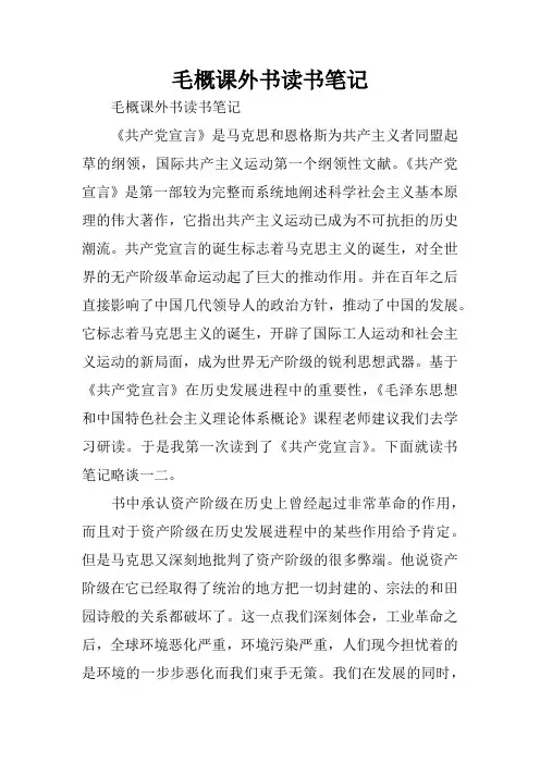 毛概课外书读书笔记