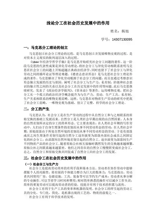 浅论分工在社会历史发展中的作用
