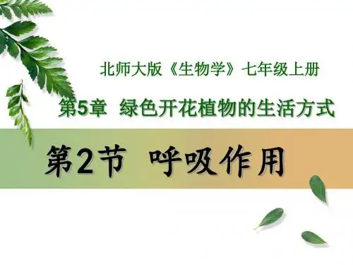 北师大版起年级上册生物3.5.2呼吸作用说课(共15张PPT)